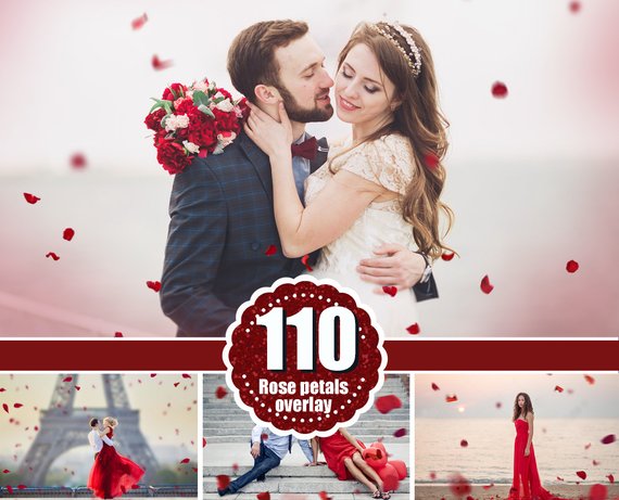 110 Flower petals Photo Overlays, Photoshop Overlay, wedding, Valentine's Day, romantic, summer, digital backdrop background, rose, png file