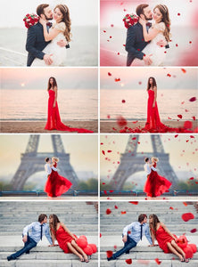 110 Flower petals Photo Overlays, Photoshop Overlay, wedding, Valentine's Day, romantic, summer, digital backdrop background, rose, png file