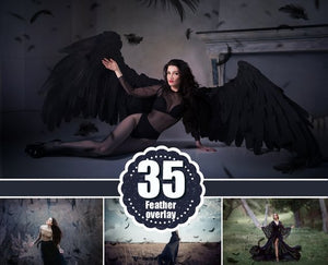 35 Black Feather Overlays, photoshop overlays, Angel, Feather, Photo Overlays, Flying Feathers, digital backdrop, clipart, png